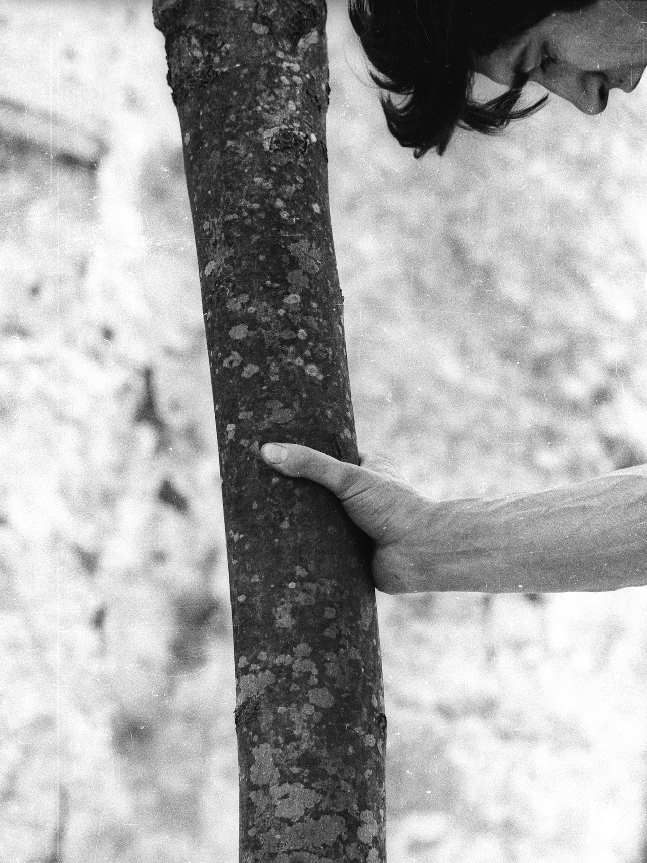 A person grasps a tree trunk with one hand. Only part of their face and arm are visible, while the background is blurred.