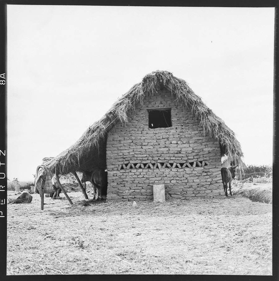 A small adobe building with a thatched roof stands on a dirt field. Donkeys stand under the roof’s overhang, partly sheltered. Reminiscent of traditional settings where chefs like Chef Noof Al Mari may draw inspiration, the house has a small window and a pattern of ventilation gaps in its brick wall.