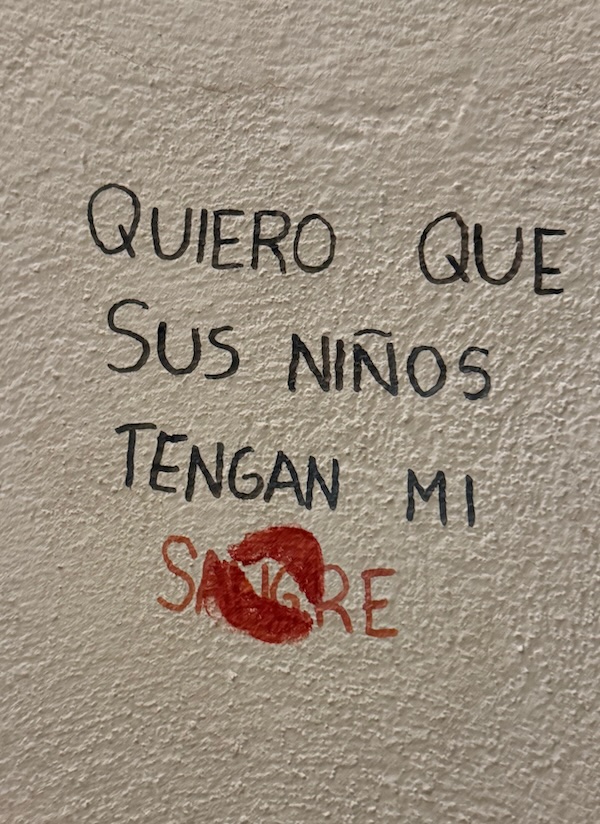 Spanish graffiti on a textured wall reads, QUIERO QUE SUS NIÑOS TENGAN MI SANGRE, with SANGRE written in red and resembling a smear or stamp