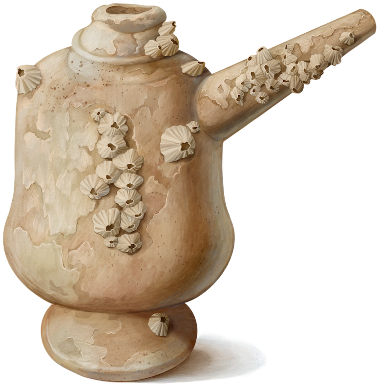 An old, weathered teapot covered with clusters of beige barnacles on its body and spout evokes the maritime spirit