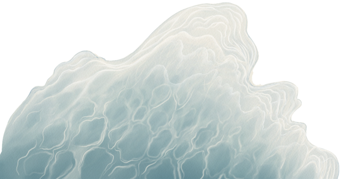 Abstract illustration of gentle, white ocean waves with light blue highlights, foaming and spreading out against a plain white background